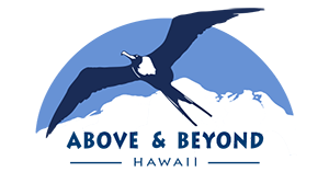 Above & Beyond Hawaii